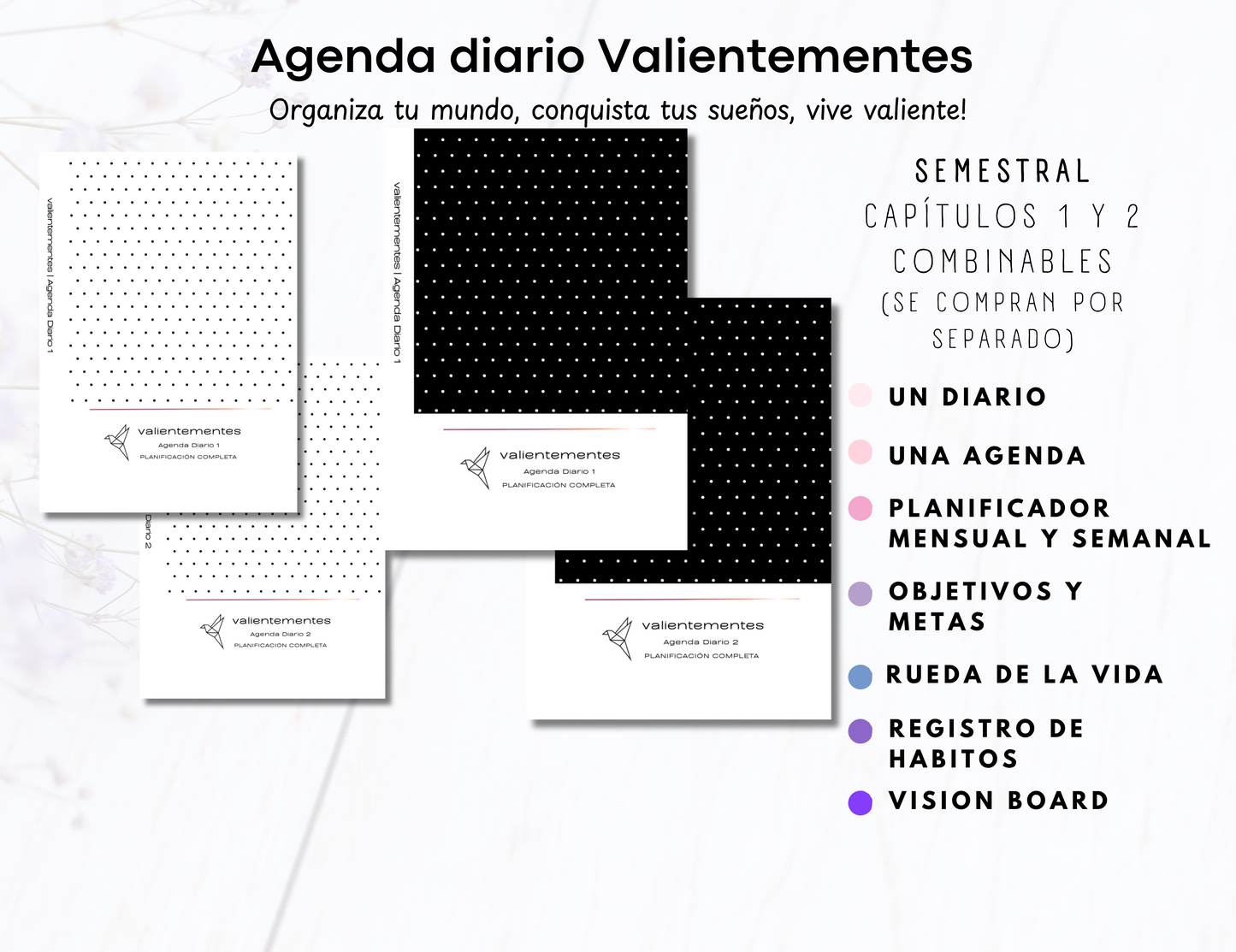Agenda Diario Valientementes Semestral